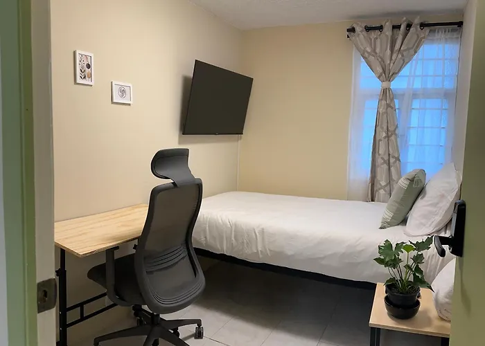 Olive B&B Habitacion Privada Cdmx